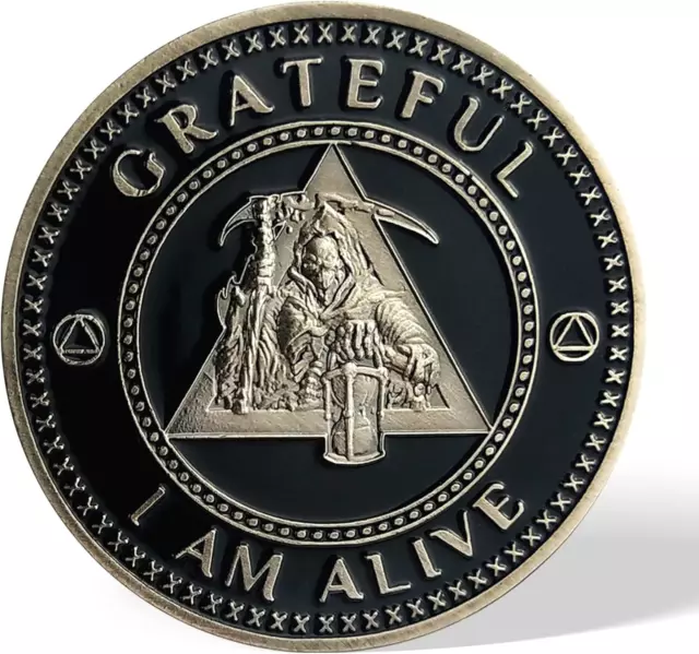 AA MEDALLION COIN - Grateful I Am Alive - Sobriety Recovery Chip ...