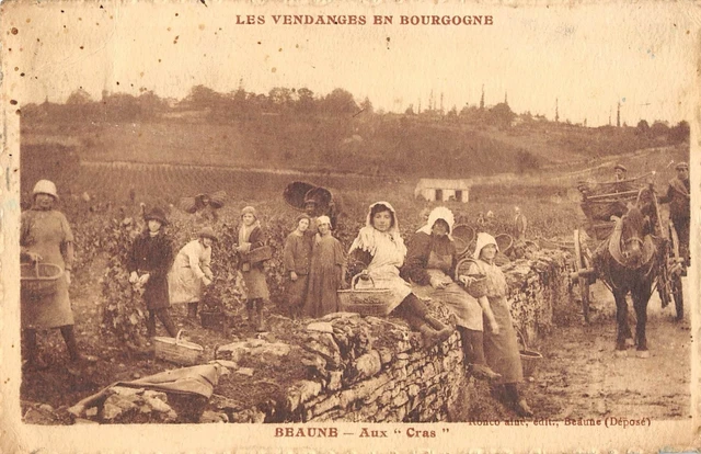 Cpa 21 Les Vendanges In Burgundy Beaune Aux Cras