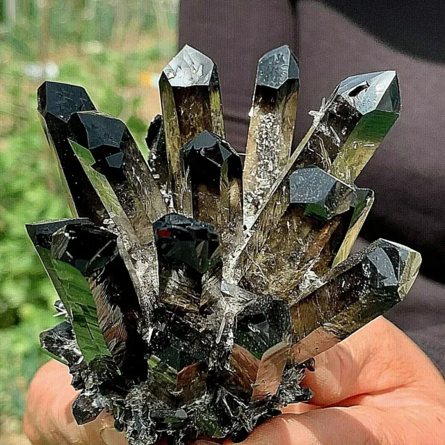 New Find black Phantom Quartz Crystal Cluster Mineral Specimen Healing