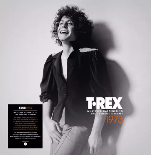 T.Rex Whatever Happened to the Teenage Dream? (Vinyl)