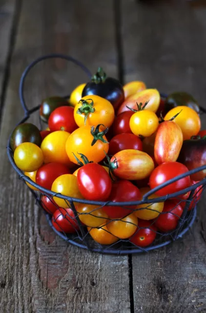 TOMATO Cherry Mix 30 seeds HEIRLOOM vegetable garden SPRING SUMMER easy grow