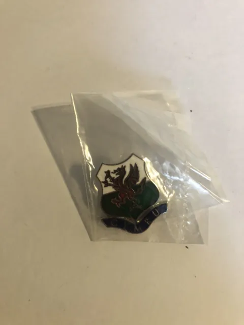 Wales CYMRU pin badge