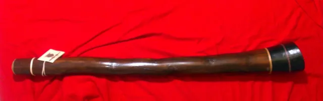 Didgeridoo artigianale in legno di Agave tonalità (FA#)