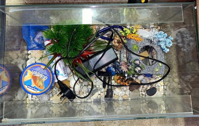 30 Litre Fish Tank with Filter & Accessories