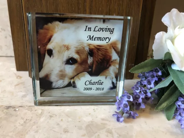 Foto personalizzata in amorevole vetro memoria memoriale per animali domestici - cane gatto qualsiasi animale domestico