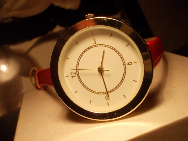 Montre Pirofa Femme Vintage à Quartz - Boîtier Acier 26mm, Bracelet Acier, Pile Incluse