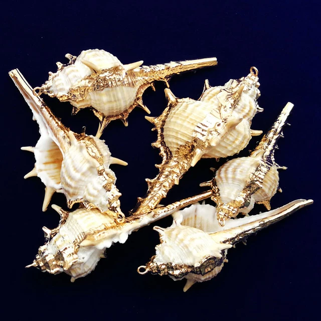 10Pcs 78x34x36mm Natural Gold Plated White Spiral Seashell Conch Pendant A-37BK