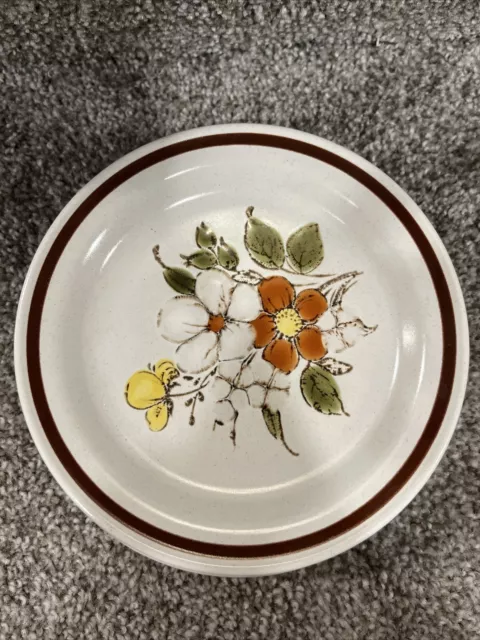 Vintage 10.75" Country Living Collection Autumn Gold Stoneware Dinner Plate