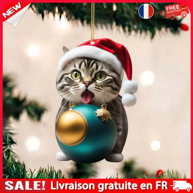 Christmas Cute Hanging Cat Ornaments Acrylic Tree Car Pendant Decorations (C)
