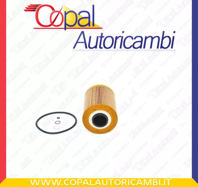 Filtro olio BOSCH 1457429638 per BMW