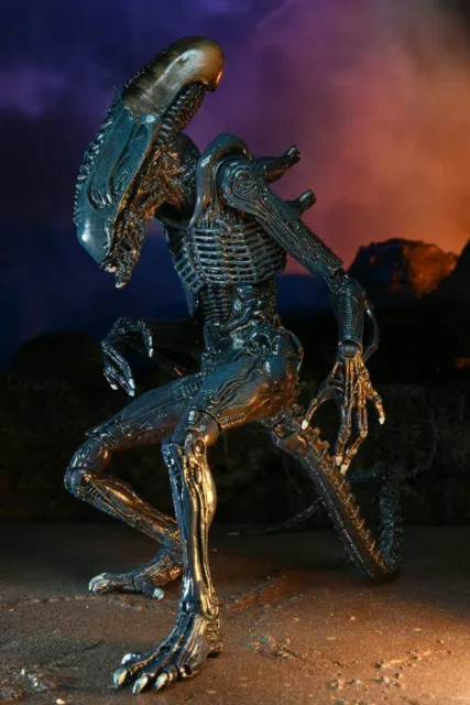 Neca Alien vs Predator Aliens Arachnoid Alien 18 cm KBS