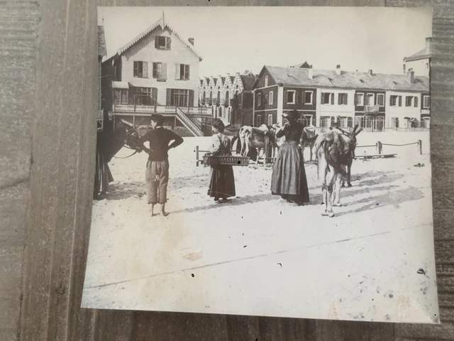 Pêche - 62* BERCK PLAGE pecheurs de crevettes CPSM (format 9x14cm) RL25,2084