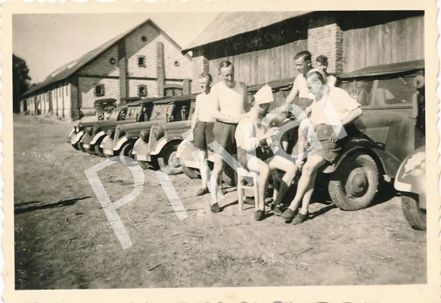 Spilla A Foglia Di Quercia Con Triskel, Spilla Celtica, Spilla A Foglia - Foto 9