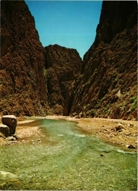 CPM AK MAROC Les gorges du Todra (880822)