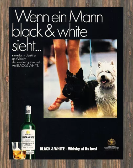 Black & White Whisky - Reklame Werbeanzeige Original-Werbung 1969