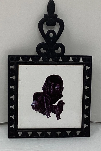 Newfoundland Dog Wall Tile. Lanka Walltiles