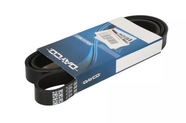 Fits DAYCO DAY6PK1500 V-Ribbed Belt DE stock