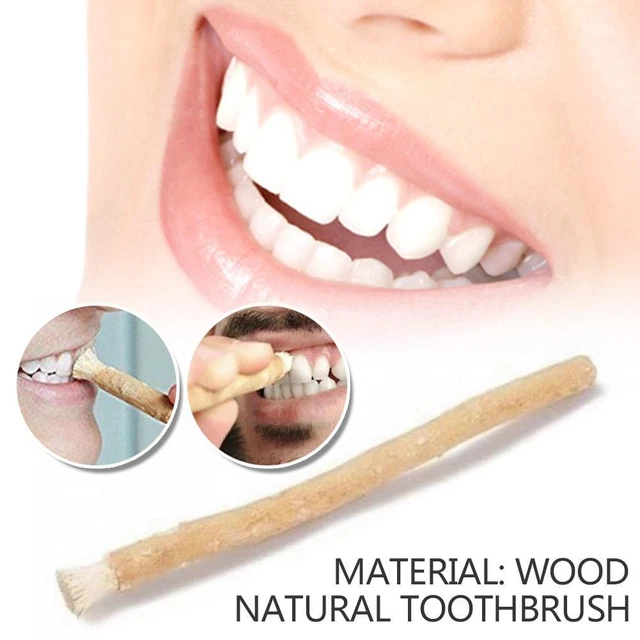 Miswak Natural Toothbrush ` Pilu Miswak Chewing Stick Meswak Bulk-US 2023