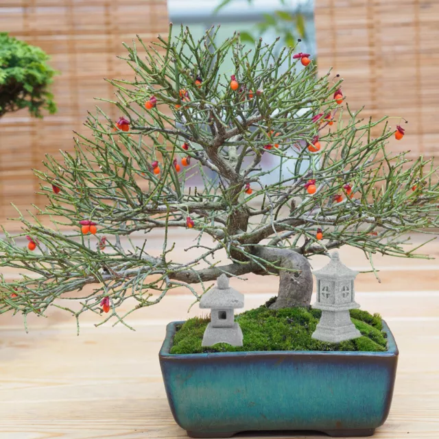 Japanese Zen Garden Pagoda Statue Bonsai Miniature Sandstone Decor Adornment