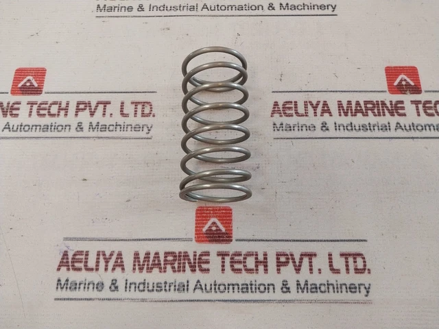Iron Pump 83 Valve Spring-Discharge 117381122