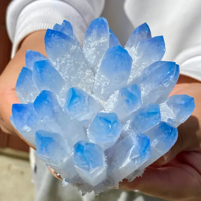1.45LB New Find sky blue Phantom Quartz Crystal Cluster Mineral Specimen Healing