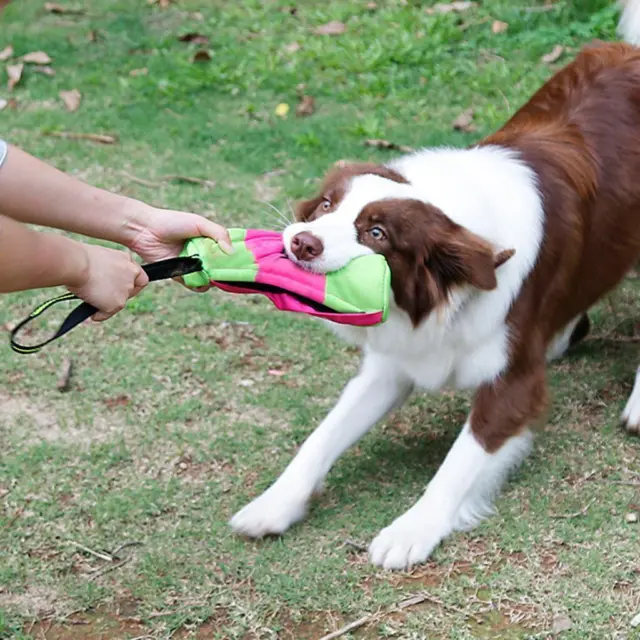 Delicias para perro bolsa de entrenamiento mascota maniquí entrenamiento bolsa de bocadillos fácil de usar