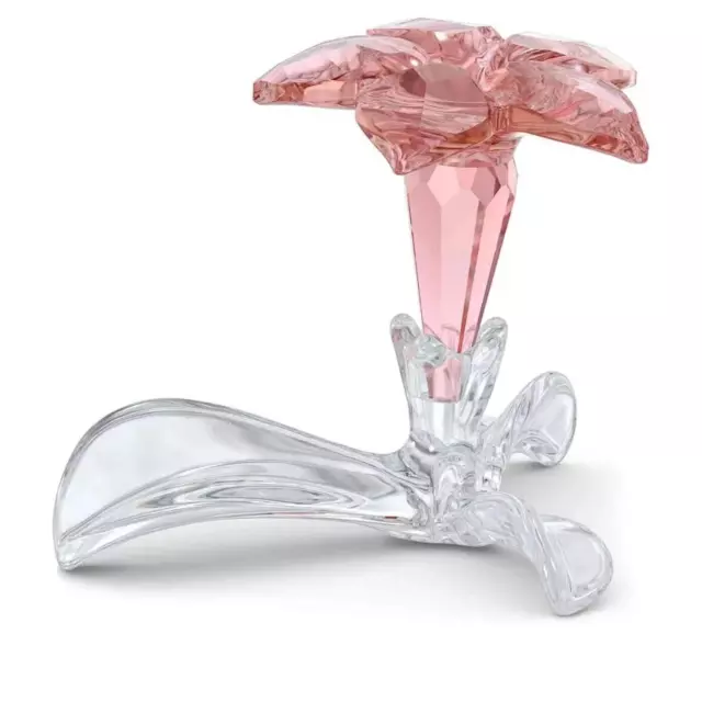 Swarovski Crystal Figurine SCS 2021 Desert Rose #5557915 New, NIB