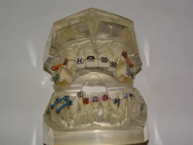 Dental Tablett Zahnarztstuhl Einweg Getränkehalter Becherhalter 3-in-1 Tray  NEU