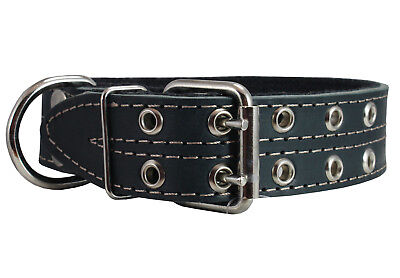Real Leather Dog Collar Padded 1.75" wide 23"-27" neck size Newfoundland Mastiff