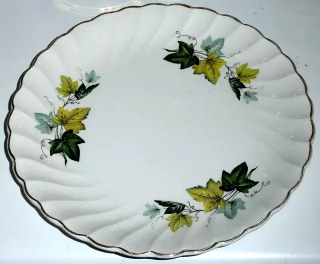 1 Passionfruit Leaves Myott Ironstone Ware England Entree Size Plate Gold Rim 22