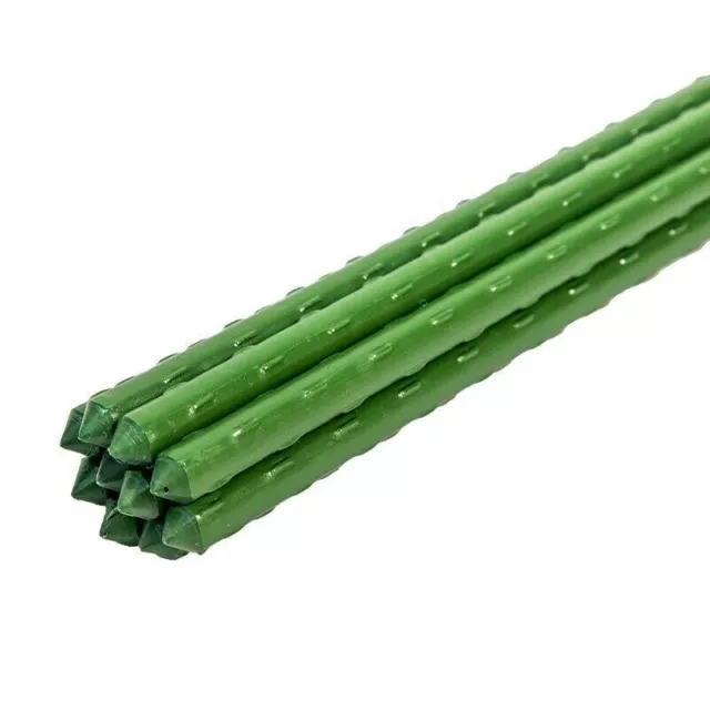 Hydroponics Garden Plant Stakes Support Sticks Canes Pole Grow Tools 10 Pack 6ft