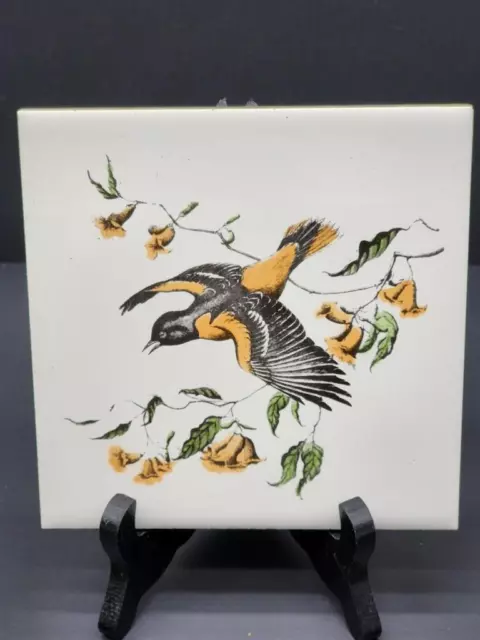 Vintage Delano Studios Hand Colored ORIOLE Tile Trivet Cork Backing 6 X 6