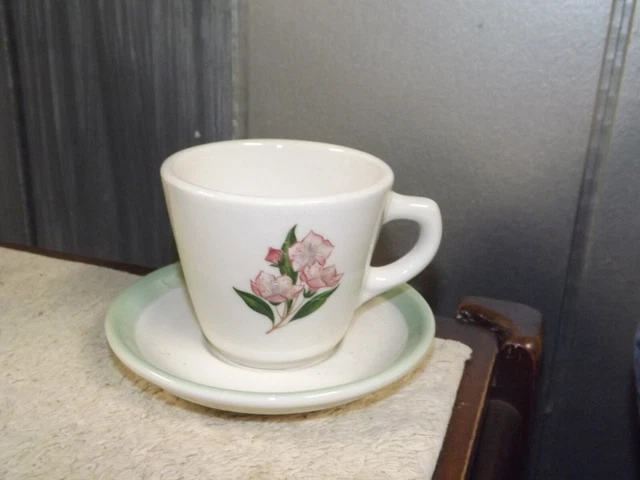Pennsylvania Railroad Mountain Laurel Cup Saucer Syracuse China green backstamp
