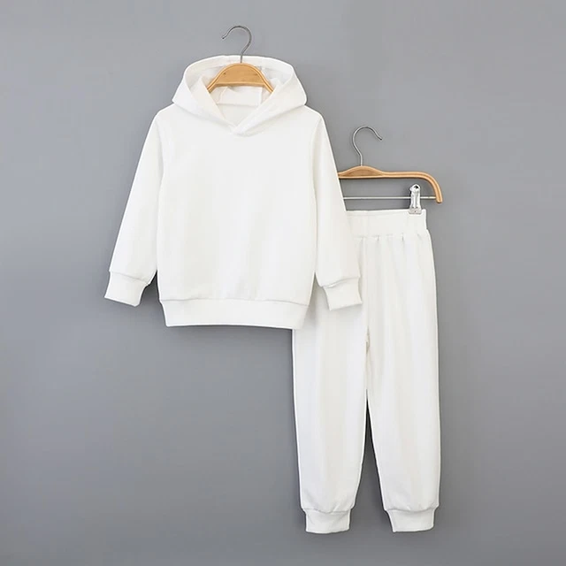 2 Pieces Toddler Boys Hoodie & Sweatpants Set Outfit Solid Color Long Sleeve Set