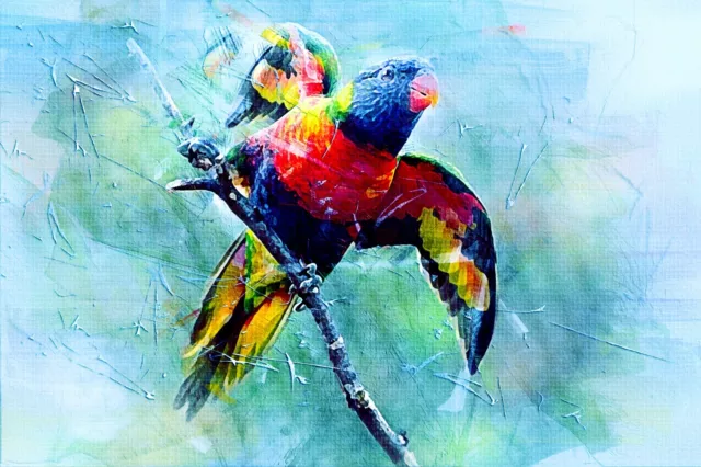 Stunning Vibrant Abstract Parrot Bird Canvas Picture Poster Unframed #2405