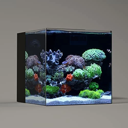 Ultra Clear Glass Rimless Low Iron Aquarium Tank With Rear Filtration Chamber Fo