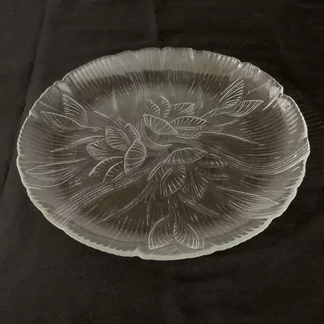 Arcoroc Canterbury 10.75" Crocus Glass Dinner Plates Set of 3