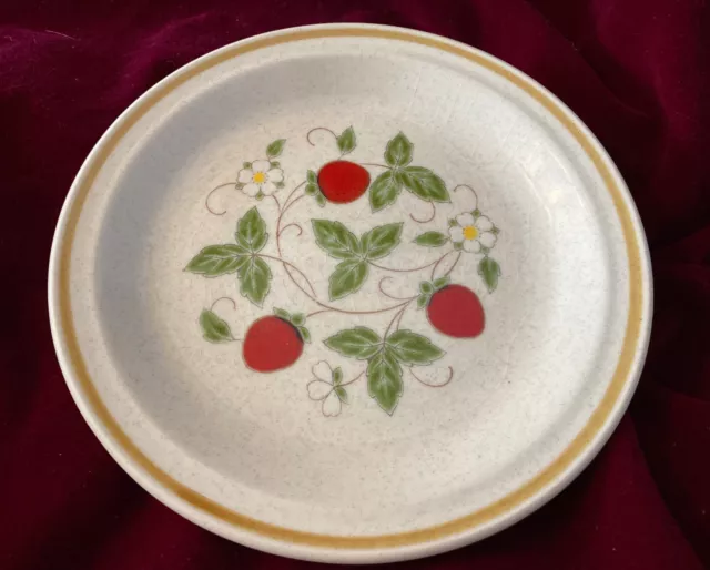 Set/6 Berry Blossom by JC Penney 7 1/2” Salad Plate. Stoneware Strawberry EUC