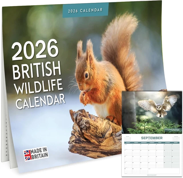 CALENDAR-2026 UK BRITISH Wildlife Wall Calendar 2026 Calendar with ...