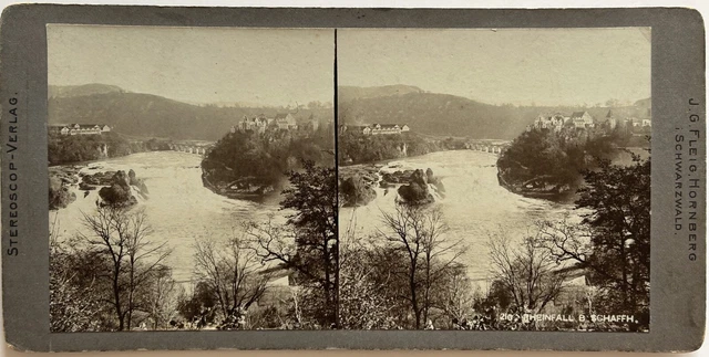 Schweiz Schaffhausen c1900 Foto Stereo Citrat Vintage P76L9n1