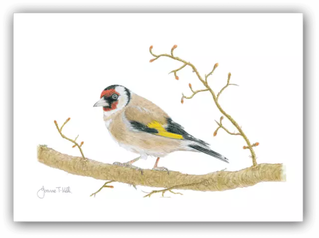 'GOLDFINCH' WILDLIFE / BIRD CARD - Print From Original Drawing By Joanne T Kell