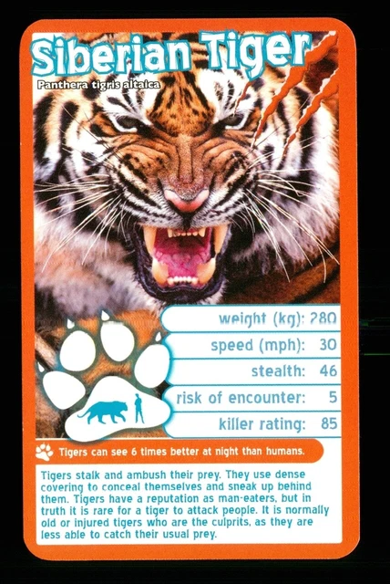 1 x info card deadliest predator Siberian Tiger - R114