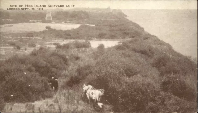 Hog Island Philadelphia Penn PA Shipyard View As of 1917 Vintage Postcard