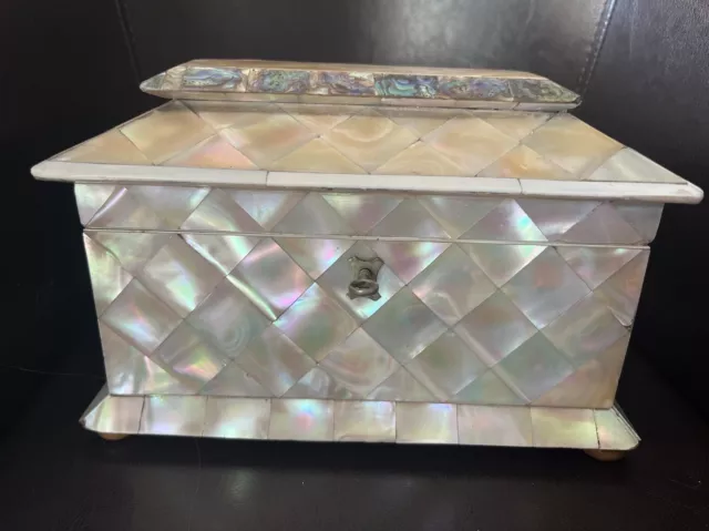 Fine 19th Century Mother of Pearl Tea Caddy Masterpiece