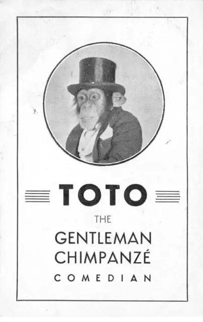 Spettacolo Af #DC584 Cirque Toto Il Gentleman Scimpanzè Comedian