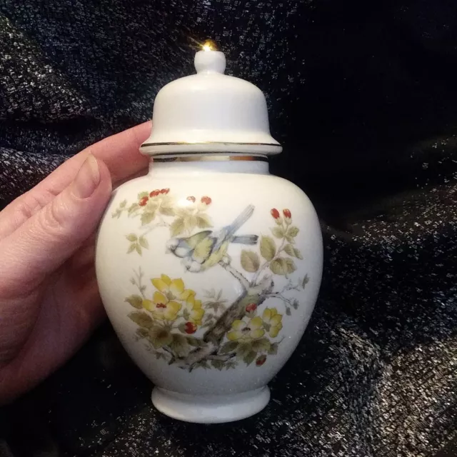 Andrea by Sadek Handpainted 6.5"  Ginger Jar /Urn Vase Cream w/Blue Birds Floral