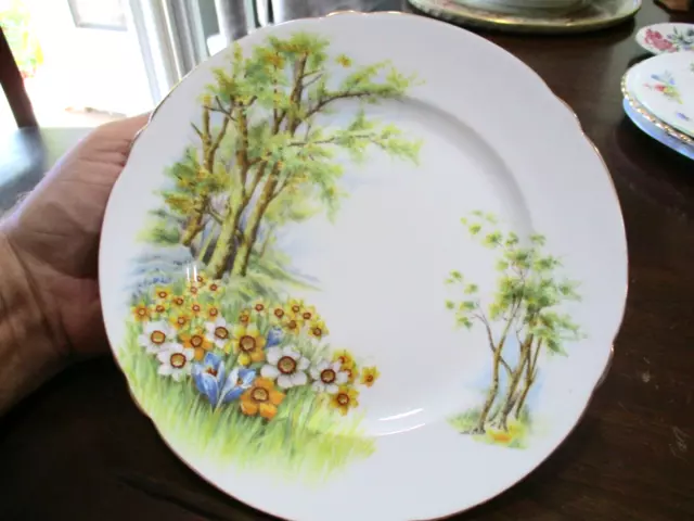 Shelly 8 '' Fine Bone China Plate,Daffodil Time 13370 England Flowers & Trees