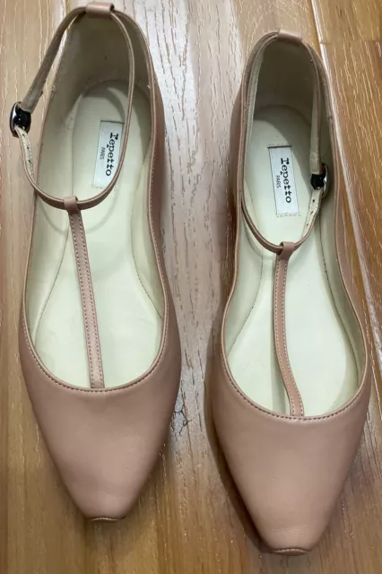 Repetto Tiana Mary Jane In Nude Pink Size 6