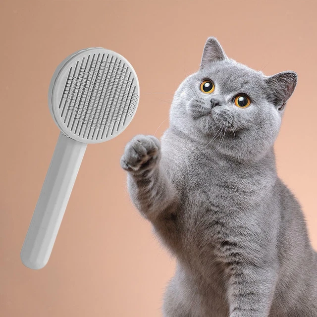 Brosses pour Animaux Domestiques Peignes pour Chiens et Chats Nettoyage