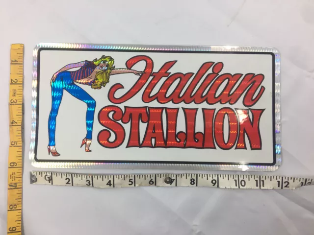 VINTAGE PRISMATIC DECAL ITALIAN STALLION 1970s License Plate Prism